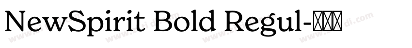 NewSpirit Bold Regul字体转换